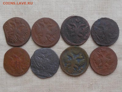 Денга-6шт до 2.11.2015 в 22-00 по МСК - Resize of RSCN4739.JPG