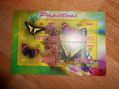 Бабочки, малый лист, до 04.11.2015 - DSCN1209.JPG