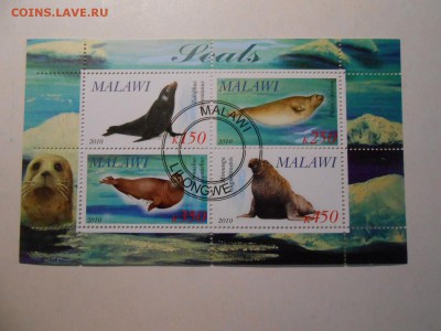 Морская фауна, малый лист, до 04.11.2015 - DSCN1389.JPG