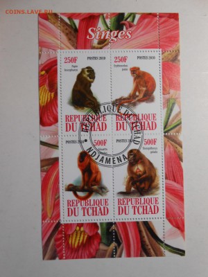 Обезьяны, малый лист, до 04.11.2015 - DSCN1390.JPG