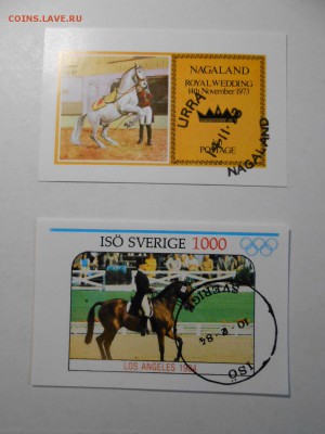 Лошади, сток марок, до 04.11.2015 - DSCN1393.JPG