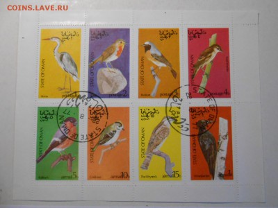 Птицы, 4 малых листа, разные,  до 04.11.2015 - DSCN1395.JPG