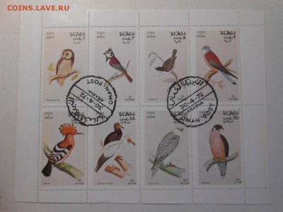 Птицы, 4 малых листа, разные,  до 04.11.2015 - DSCN1397.JPG