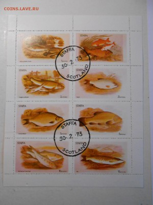 Рыбы, 2 малых листа, разные, до 04.11.2015 - DSCN1398.JPG