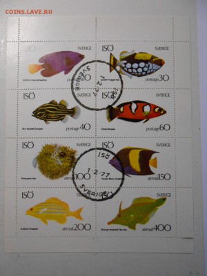 Рыбы, 2 малых листа, разные, до 04.11.2015 - DSCN1399.JPG