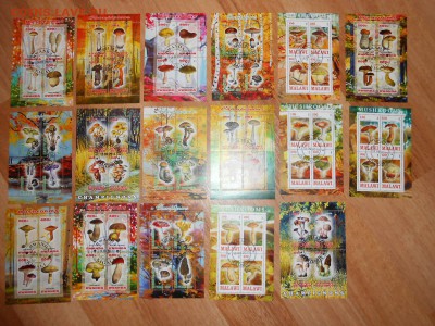 Грибы, большая коллекция марок и малых листов, до 04.11.2015 - DSCN1205.JPG