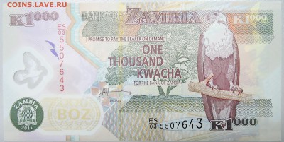 ЗАМБИЯ - 1000 квач 2011 г.  до 04.11 - DSCN1229.JPG