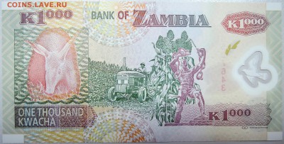 ЗАМБИЯ - 1000 квач 2011 г.  до 04.11 - DSCN1232.JPG