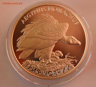 10 гривен 2008 Гриф красивый номер 0000888 до 2,11,2015 - IMG_3072.JPG