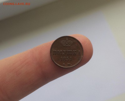 Полушка 1851 ЕМ отличная, жёлтая. до 31.10.15 - image