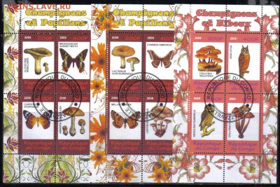 Конго 9мл 2009г Грибы до 2.11 22.00мск - Конго мл 2009г Грибы-2