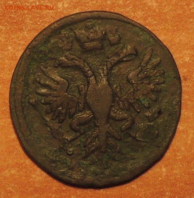 Денга 1731 г., над годом 1 черта, до 06.11.15 г. 22:00 (мск) - DSCN8751.JPG