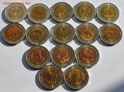 Красная книга комплект 91-94 год, до 02.11.2015г. 22-30 Мск - DSC_2613.JPG