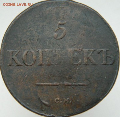 5 копеек 1831г. до 3.11.2015г. 22-00 по Москве. - DSCN4459.JPG
