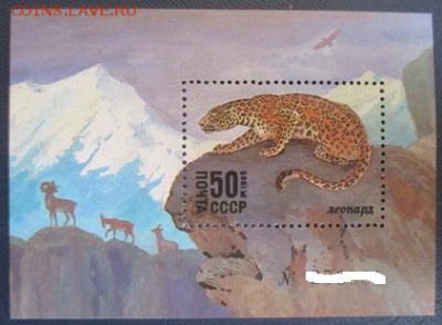 СССР. ФИКС. 1985. Красная Книга. Леопард. Номерной блок - 1985-507.JPG