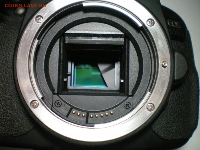CANON EOS 650D. Нужен совет. - 111_0004.JPG