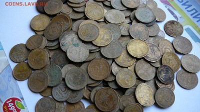 11_15 г. 21_30 - P1180629.JPG