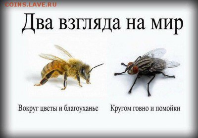 Хеллоуин в России. - pchela-mucha