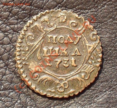 Полушка 1731 г. Перечекан. Отличная, жёлтая! До 8.09.2010 г. - Изображение 1461