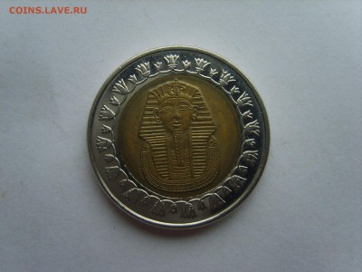 с Рубля.ЕГИПЕТ 1 ФУНТ.5.11.15 до 22-00. - S8300894.JPG