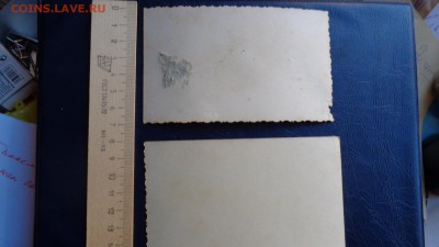 Оригинальные фото уч-ков фестиваля 57 г  до 6-го в 21-10 мсК - ссс   31.10...15 ..ооо 095.JPG