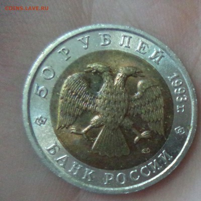 КК Медведь до 3.11.15 в 22.00 по МСК - DSC01355.JPG