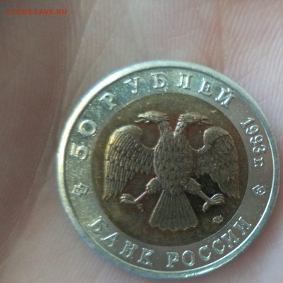 КК Тетерев до 3.11.15 в 22.00 по МСК - DSC01370.JPG