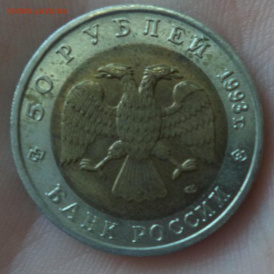 КК Зублефар до 3.11.15 в 22.00 по МСК - DSC01374.JPG