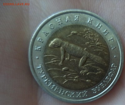 КК Зублефар до 3.11.15 в 22.00 по МСК - DSC01373.JPG