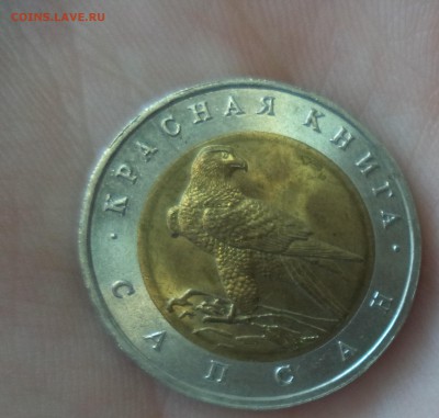 КК Сапсан до 3.11.15 в 22.00 по МСК - DSC01380.JPG