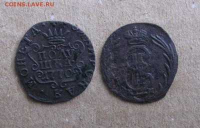 1770_Полушка_Сибирь_ до 05.11.15 - 1770_ПолушкаСиб(1)-350