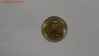 КК  Филин до 5.11 - DSC01545.JPG