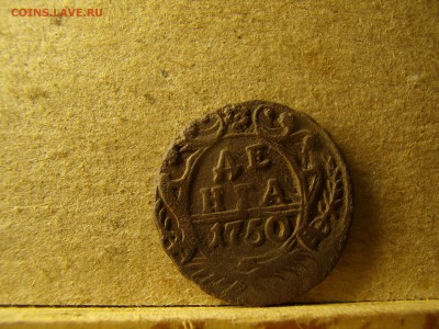 Денга - PB020353.JPG