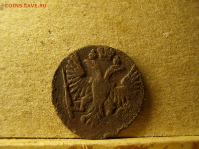 Денга - PB020354.JPG