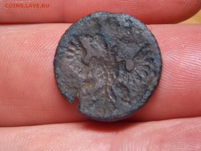 Полушка аверс,реверс орёл. - DSCN4240.JPG