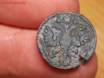 Полушка аверс,реверс орёл. - DSCN4239.JPG