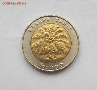 Биметалл! Индонезия 1000 рупий 2000г. - 100_3348