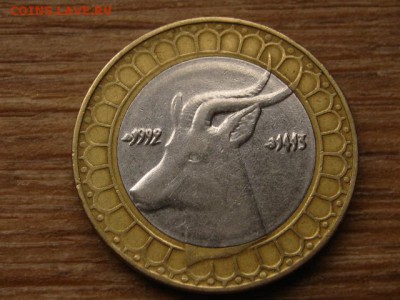 Алжир 50 динаров 1992 БИМ Антилопа до 05.11.15 в 21.00 М - IMG_0826.JPG