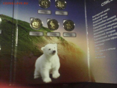 красная книга 1991-1994 Оценка - IMG_20151103_164325