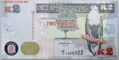 ЗАМБИЯ - 2 квачи 2012 г. ПРЕСС  до  09.11 - DSCN1379.JPG