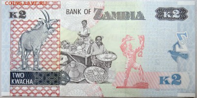 ЗАМБИЯ - 2 квачи 2012 г. ПРЕСС  до  09.11 - DSCN1381.JPG