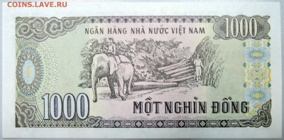 ВЬЕТНАМ - 1000 донгов 1988 г.  пресс  до 09.11 - DSCN1384.JPG