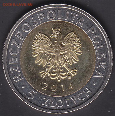 С рубля Польша 5 злотых 2014 UNC 25 лет до 7.11 22:00 мск - IMG_0011