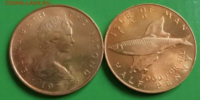 2 пенни,ФАО до 6.11 22-00 мск - 9g7VF1c6l5k