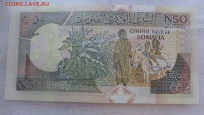 СОМАЛИ 50 шиллингов 1991 г  пресс  в 21-20 мСКи 10 ноя - 15.9.15 ллллл 247.JPG