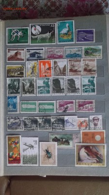 Альбом с марками мира 1000гш+35чистых - DSCF3238.JPG