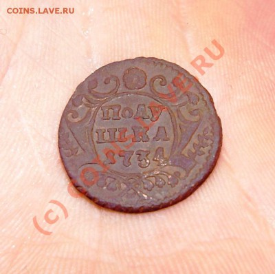 Денга 1749, полушка 1734, копейка 1801ЕМ - DSC02215.JPG