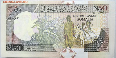 СОМАЛИ - 50 шиллингов  1991 г.  пресс  до 10.11 - DSCN1392.JPG