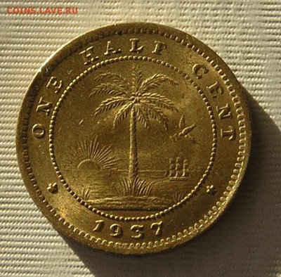 2 Цента 1937 Слон (06.11) - P1014976.JPG