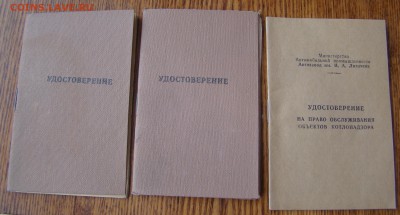 Нарукавные нашивки - ЗИЛ - 2 шт. + БОНУС до 26.10.15г 21-00 - DSC07129.JPG